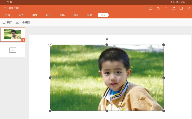 WPS免费版 vs 付费版：2025年最新功能对比与选择建议