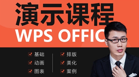 WPS免费版表格数据透视图？替代Excel原生图表