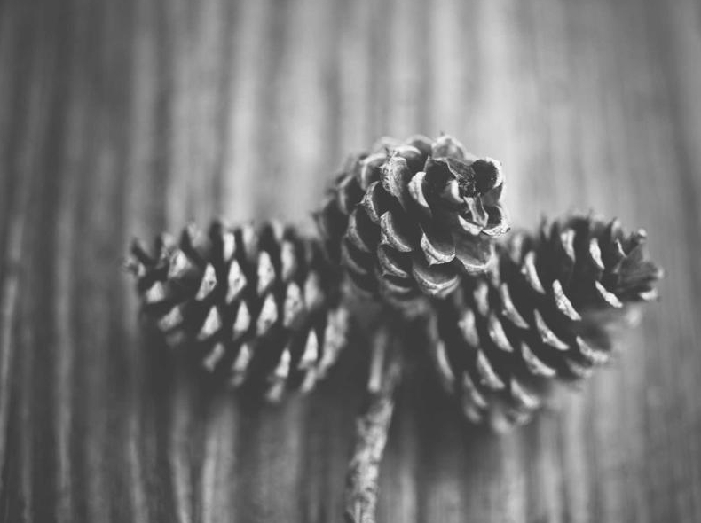 WPS下载完怎么卸载干净？彻底删除残留文件教程